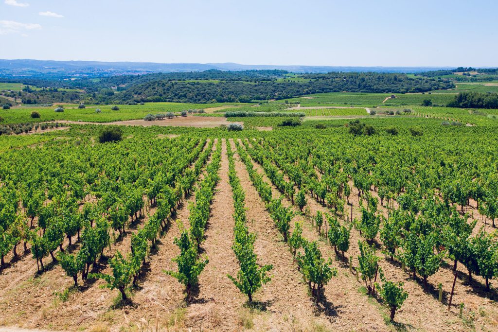 Séjourner chez un vigneron
