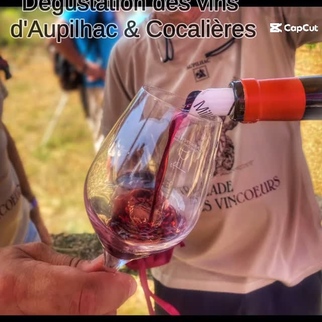 Traïlade des Vincœurs : rendez-vous le 1er juin 2025