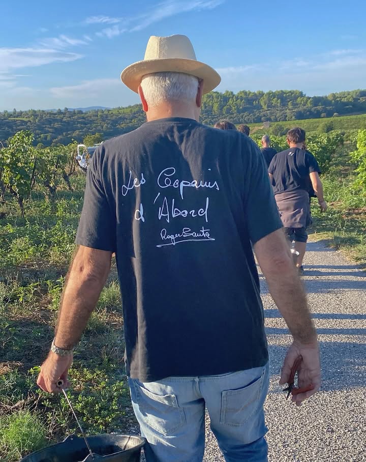 Vendanges 2025 : première semaine