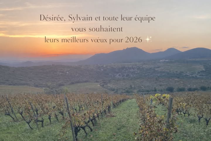 Meilleurs vœux 2026