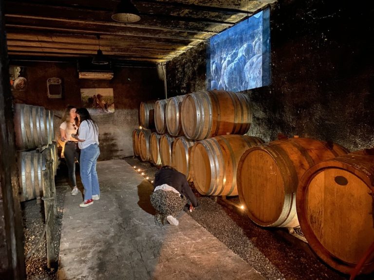 Toutes caves ouvertes 2022